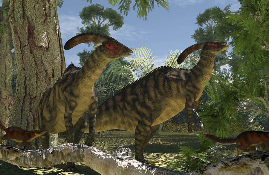 Parasaurolophus