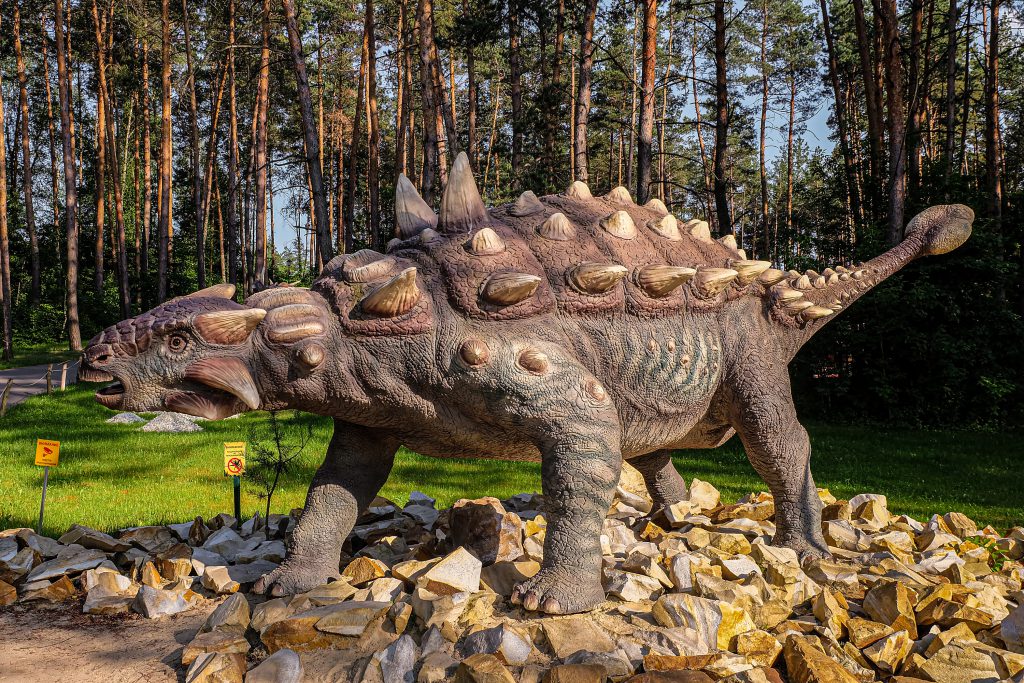 Ankylosaurus